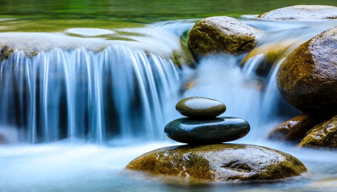 Cash Flow Forecasting: From Guesswork to Precision